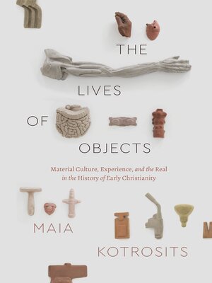 cover image of The Lives of Objects